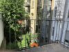 Belle-Etage im Rheingauviertel - Balkon zum Innenhof